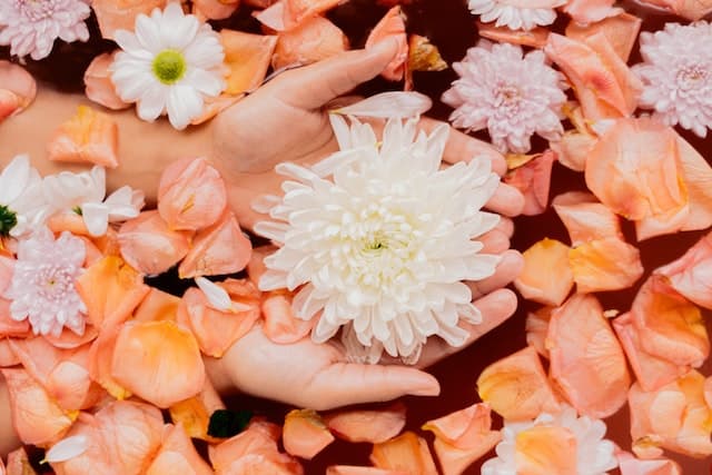 flores de bach
